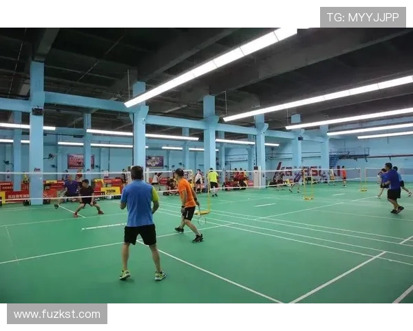 深圳羽毛球队转型之路揭秘:从传统强队到新兴力量的蜕变与挑战 深圳羽毛球队转型之路揭秘:从传统强队到新兴力量的蜕变与挑战