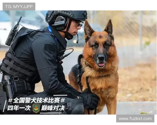 不来梅与柏林塔的激烈对决展现足球魅力与团队精神的巅峰对抗 不来梅与柏林塔的激烈对决展现足球魅力与团队精神的巅峰对抗