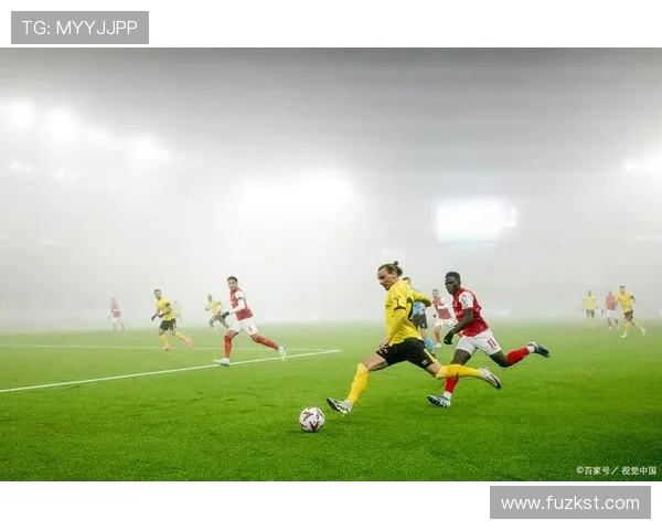 葡萄牙与瑞典的激烈对决揭示足球战术的精彩碰撞与文化交融