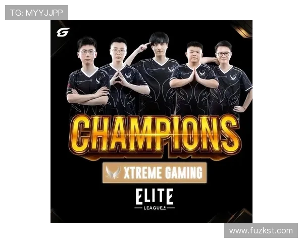 RNG战队精英赛征程回顾与突破之路的深度剖析